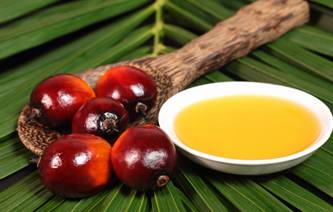 Công bố phù hợp an toàn thực phẩm dầu cọ olein sản xuất trong nước