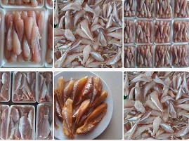 ĐĂNG KÝ CÔNG BỐ CÁ MỘT NẮNG TẠI TP.HCM