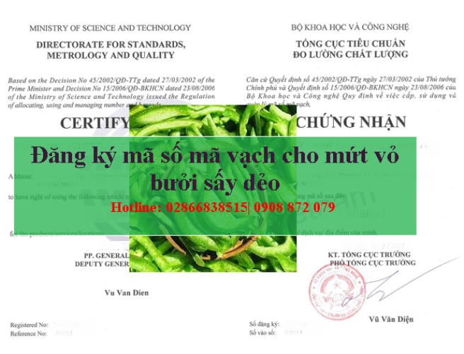 Đăng Ký Mã Số Mã Vạch Cho Mứt Vỏ Bưởi Sấy Dẻo