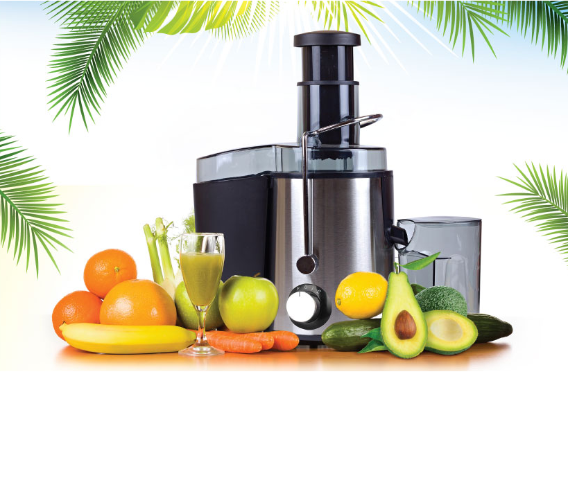 HƯỚNG DẪN THỦ TỤC ĐĂNG KÝ BẢN TỰ CÔNG BỐ CHẤT LƯỢNG SẢN PHẨM: MÁY ÉP TRÁI CÂY (BỘ PHẬN TIẾP XÚC TRỰC TIẾP VỚI THỰC PHẨM)