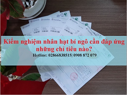 Kiểm Nghiệm Nhân Hạt Bí Ngô Cần Đáp Ứng Những Chỉ Tiêu Nào?