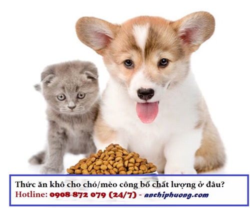Thức Ăn Khô Cho Chó/Mèo Công Bố Chất Lượng Ở Đâu?