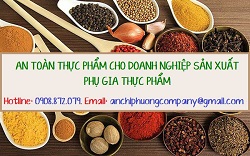 AN TOÀN THỰC PHẨM CHO DOANH NGHIỆP SẢN XUẤT PHỤ GIA THỰC PHẨM