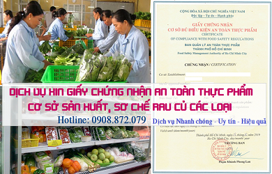 CHỨNG NHẬN AN TOÀN THỰC PHẨM CƠ SỞ SẢN XUẤT SƠ CHẾ RAU QUẢ CÁC LOẠI TẠI BAN ATTP TP. HCM