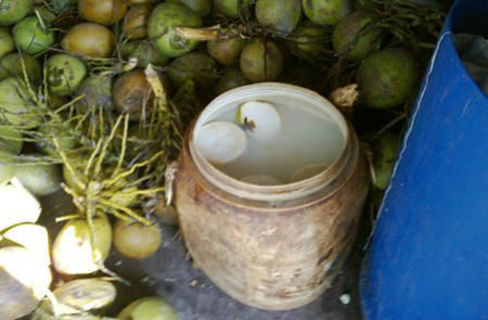 Kinh hoàng công nghệ 