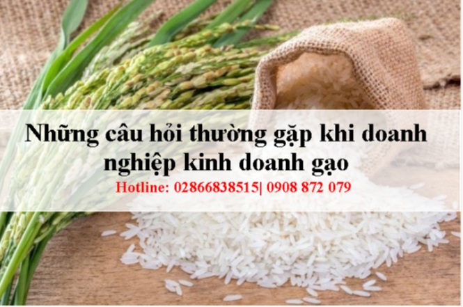 Những Câu Hỏi Thường Gặp Khi Doanh Nghiệp Kinh Doanh Gạo